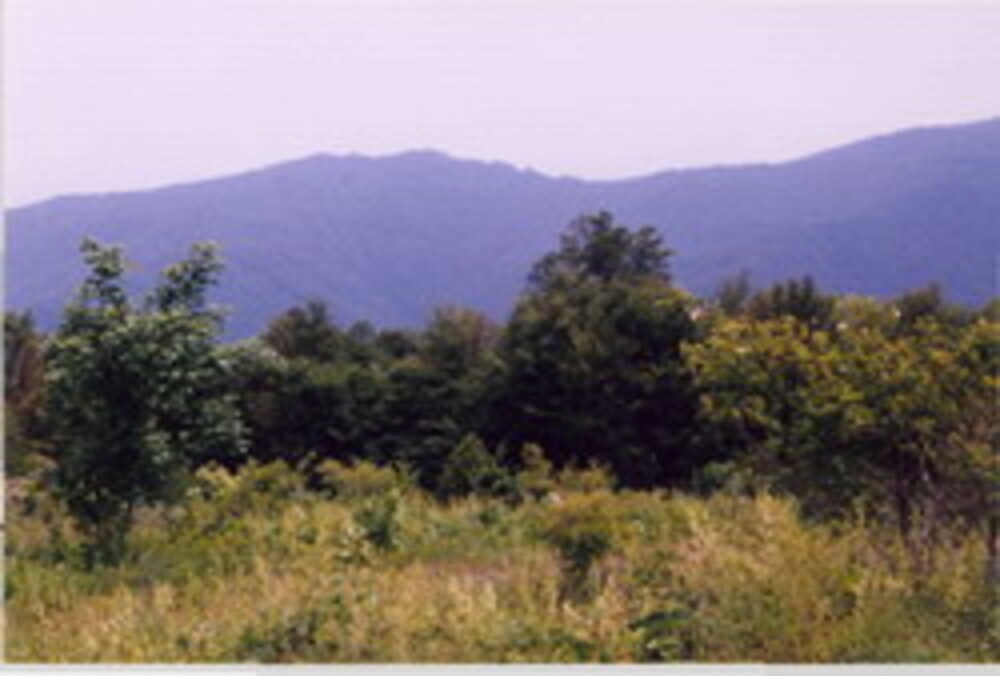 Sokolata Reserve: from Grazing Ground to Thriving Old-Growth Oak Forest