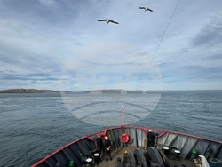 Снимка: Висше военноморско училище „Н. Й. Вапцаров“