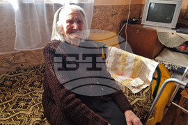 Село Владимир - столетница