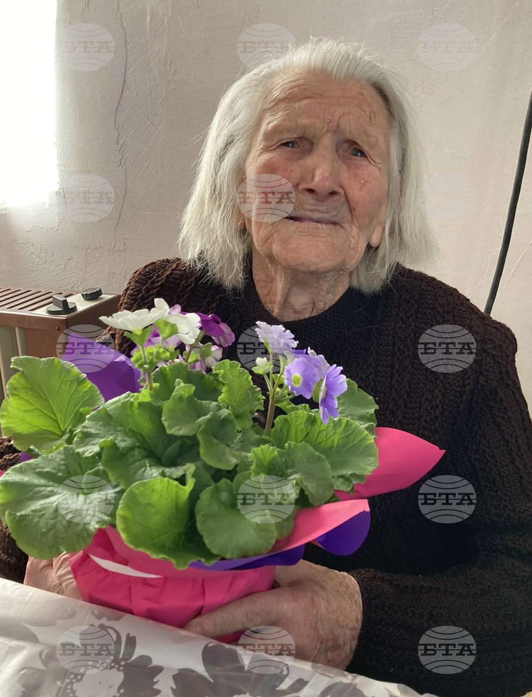 Село Владимир - столетница