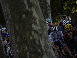 France Cycling Tour de France