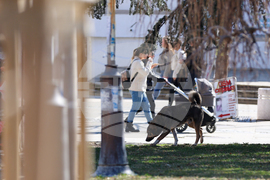 Благоевград - приют - бездомни животни