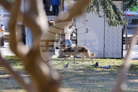 Благоевград - приют - бездомни животни