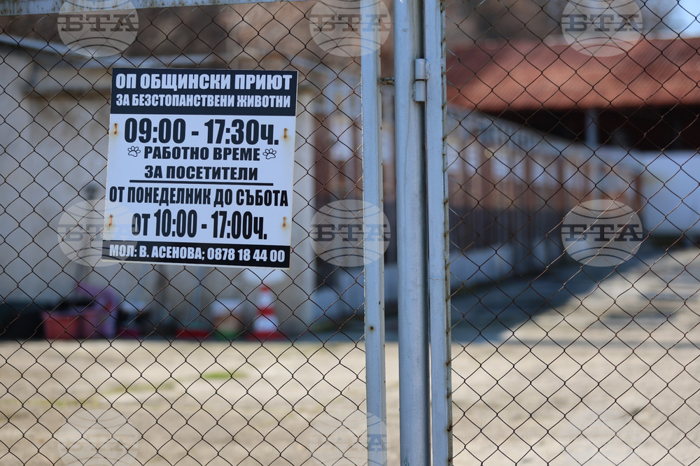 Благоевград - приют - бездомни животни