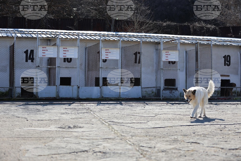 Благоевград - приют - бездомни животни