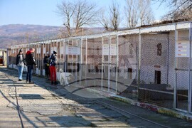 Благоевград - приют - бездомни животни