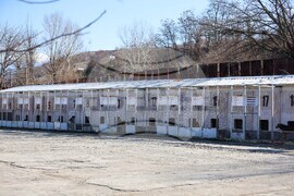 Благоевград - приют - бездомни животни