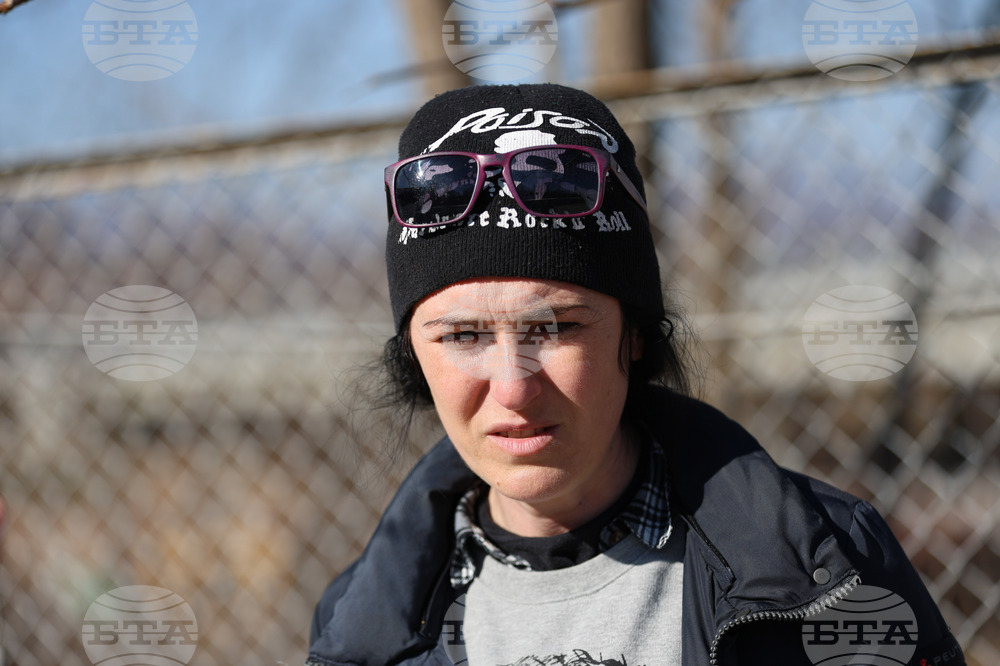 Благоевград - приют - бездомни животни