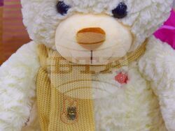 Снимка: Община Асеновград