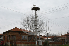 Село Подкрепа - щъркел