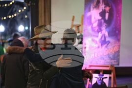 Николай Волев - изложба