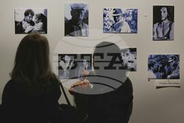 Николай Волев - изложба