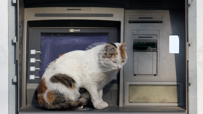 Average Monthly Wage in Bulgaria Reaches BGN 2,549 in Q3, Up by 12% Y/Y