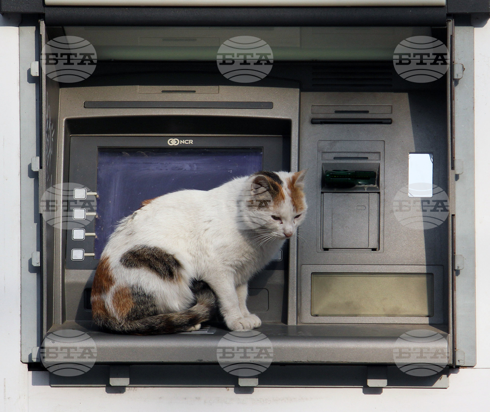 Average Monthly Wage in Bulgaria Reaches BGN 2,549 in Q3, Up by 12% Y/Y