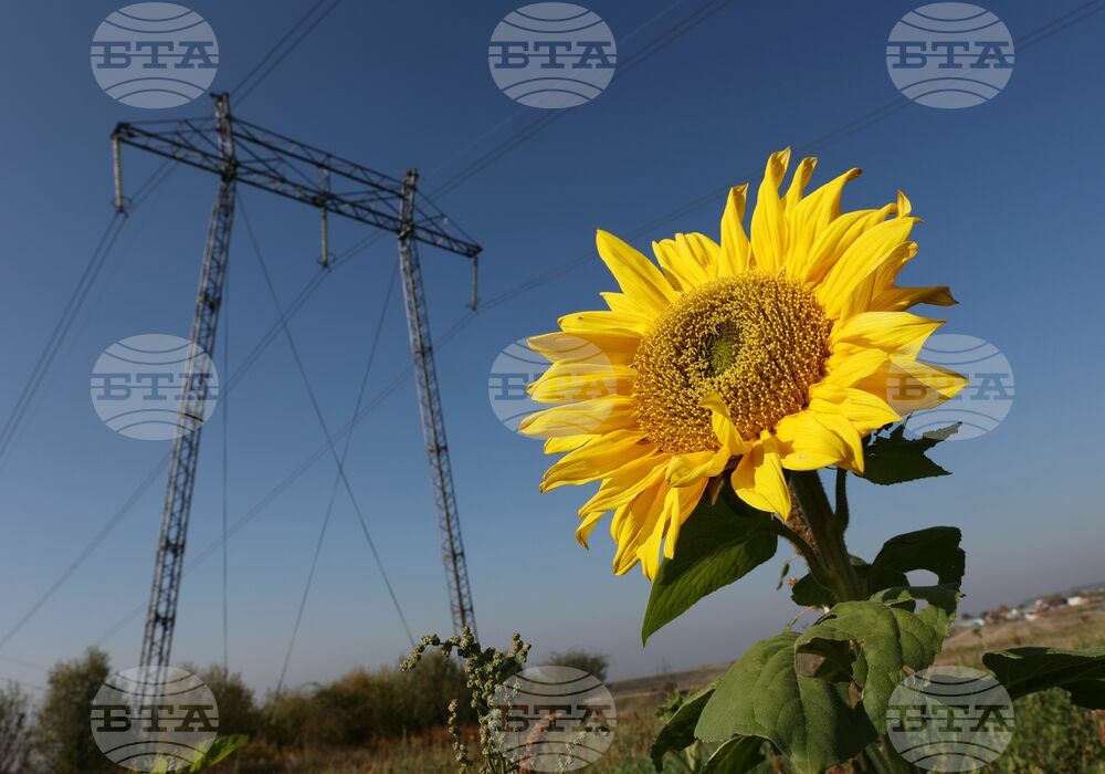 Electricity Production in Bulgaria Down 22% in 2023, Y/Y