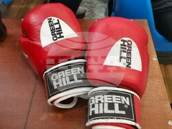 Снимка: Община Плевен