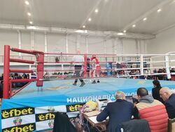 Снимка: Община Плевен