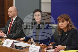 Министерски съвет - домашно насилие - съвет