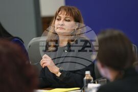 Министерски съвет - домашно насилие - съвет - Ваня Стойнева