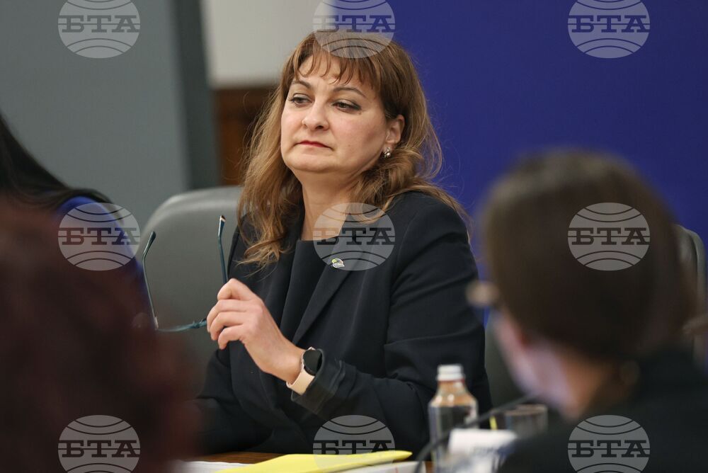 Министерски съвет - домашно насилие - съвет - Ваня Стойнева