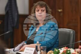 Министерски съвет - домашно насилие - съвет - Емилия Александрова