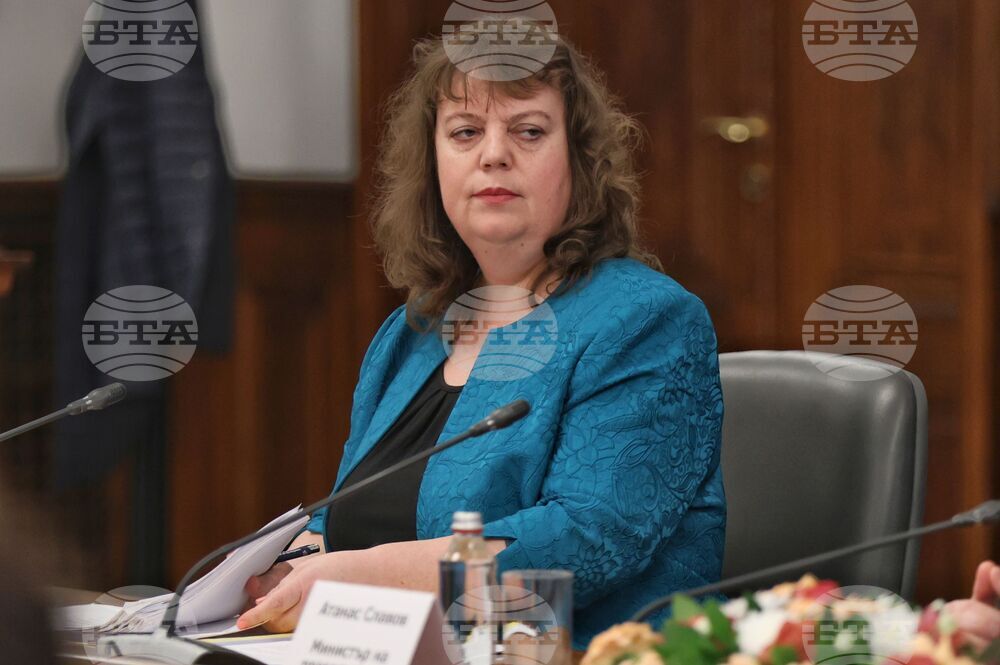 Министерски съвет - домашно насилие - съвет - Емилия Александрова