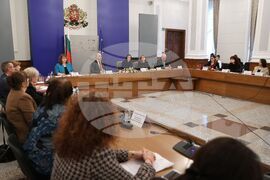 Министерски съвет - домашно насилие - съвет