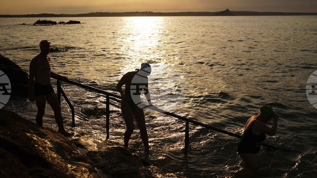 Рекордно топлите морета допринасят за появата на необичайни нови видове във водите на Великобритания 