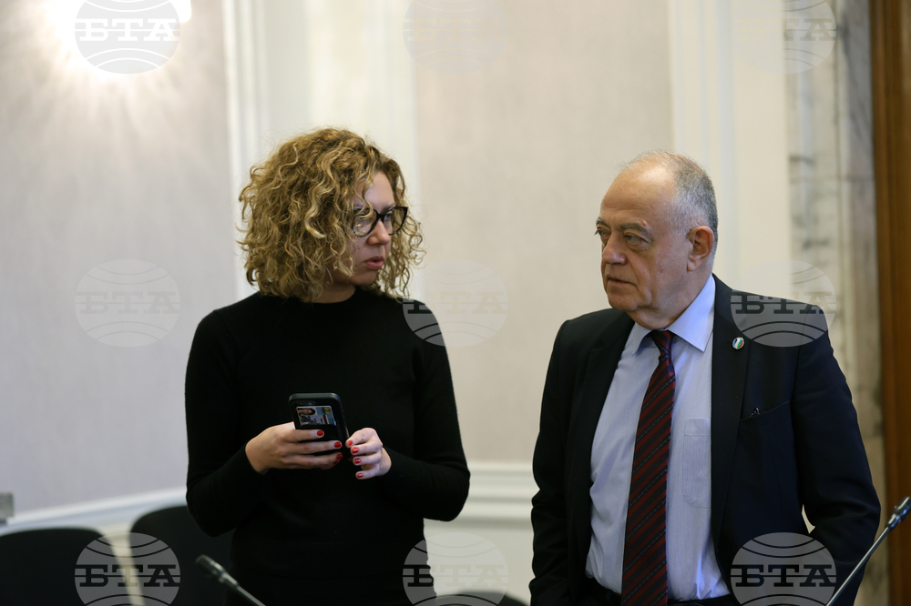 Народно събрание - Временна комисия за проверка на факти и обстоятелства за дейността на Глеб Мишин, свързана с данни за евентуално осъществяване на неправомерно предоставяне на българско гражданство