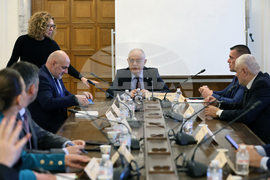 Народно събрание - Временна комисия за проверка на факти и обстоятелства за дейността на Глеб Мишин, свързана с данни за евентуално осъществяване на неправомерно предоставяне на българско гражданство