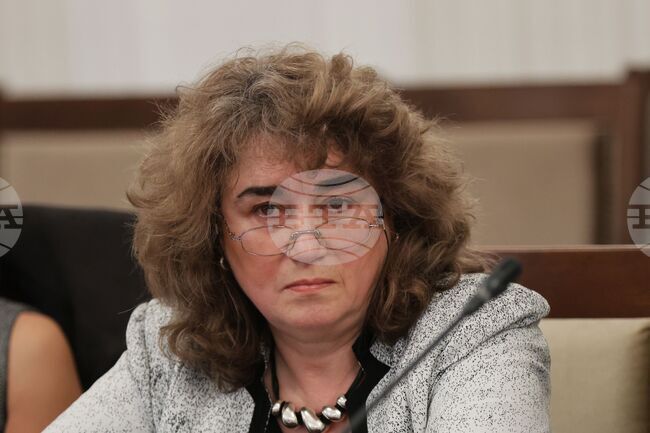 Андреана Атанасова от АТИ: Всеки може да вземе някакво решение в държавата и да наложи временни неща, които обичайно стават постоянни