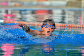 Разград - Общински плувен празник