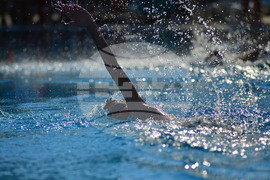 Разград - Общински плувен празник