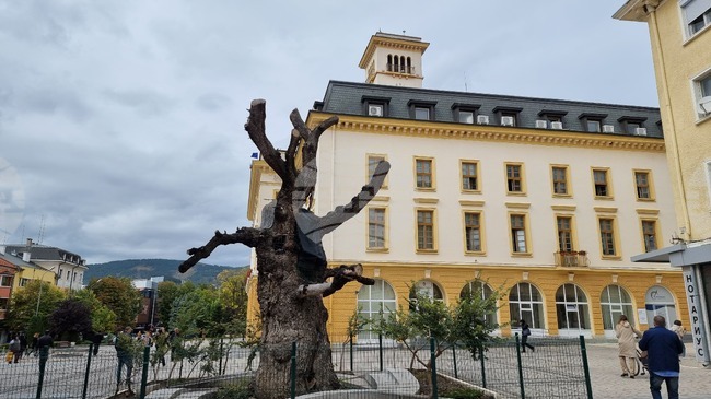 Демонстрации, работилници и концерт ще има за Международния ден на младежта в Сливен