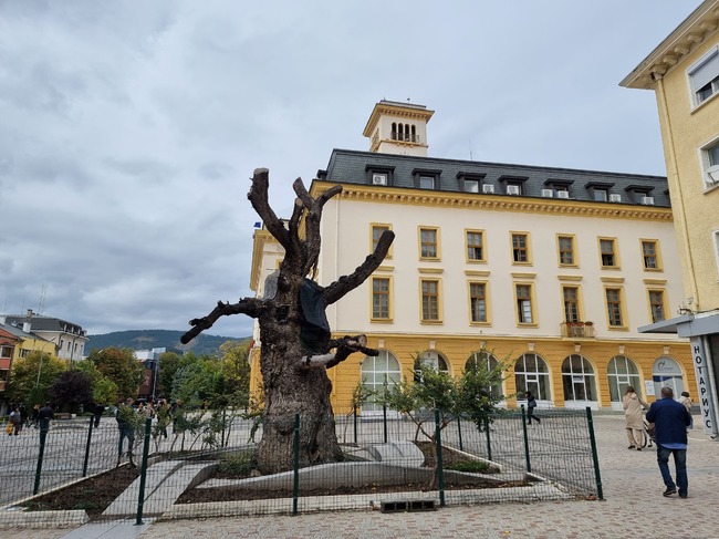 Демонстрации, работилници и концерт ще има за Международния ден на младежта в Сливен