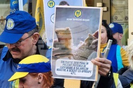 Румъния - протест - лекари - медицински сестри