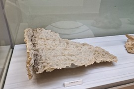 Чепеларе - Музей на родопския карст