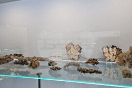 Чепеларе - Музей на родопския карст