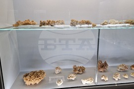 Чепеларе - Музей на родопския карст