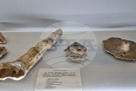 Чепеларе - Музей на родопския карст