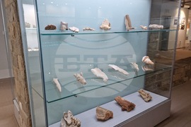 Чепеларе - Музей на родопския карст