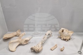 Чепеларе - Музей на родопския карст