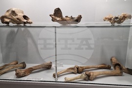 Чепеларе - Музей на родопския карст