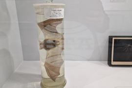 Чепеларе - Музей на родопския карст