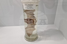 Чепеларе - Музей на родопския карст