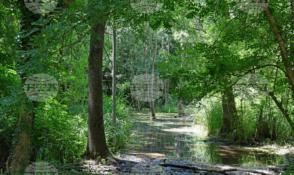 Варна - Природен парк „Златни пясъци“ - Бяла водна лилия
