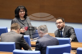 Народно събрание - заседание