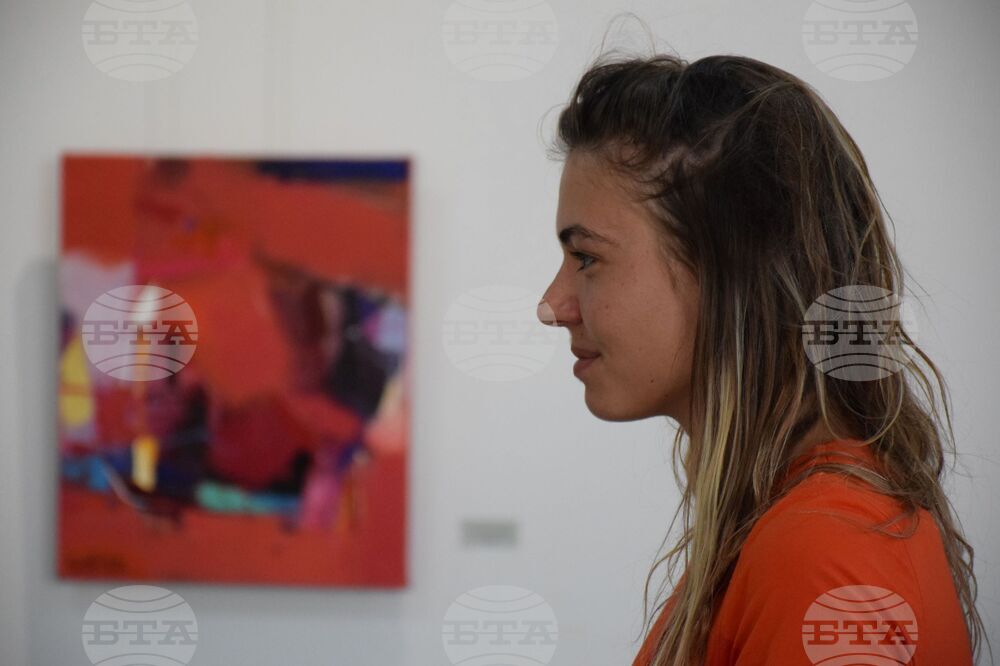 Благоевград - пленер - изложба