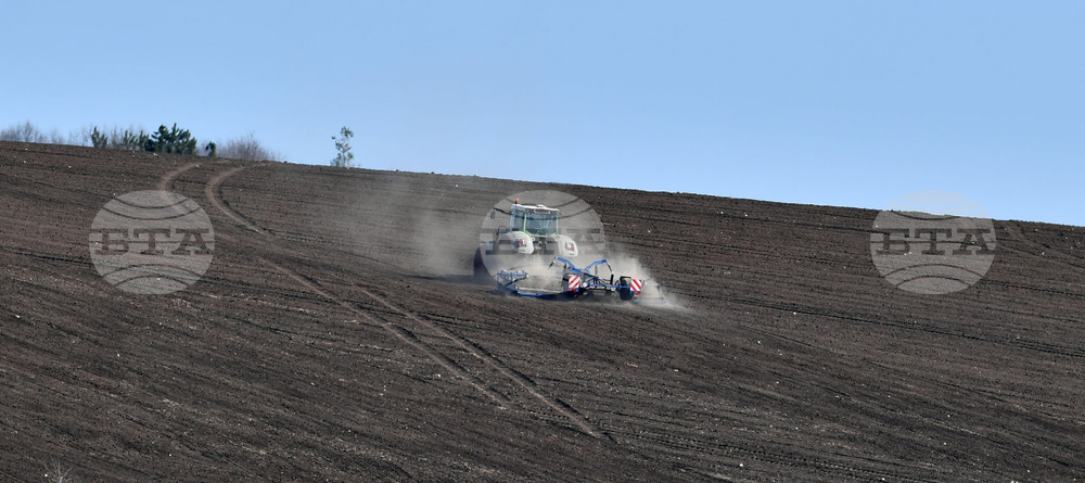 Село Божурово - работа на полето