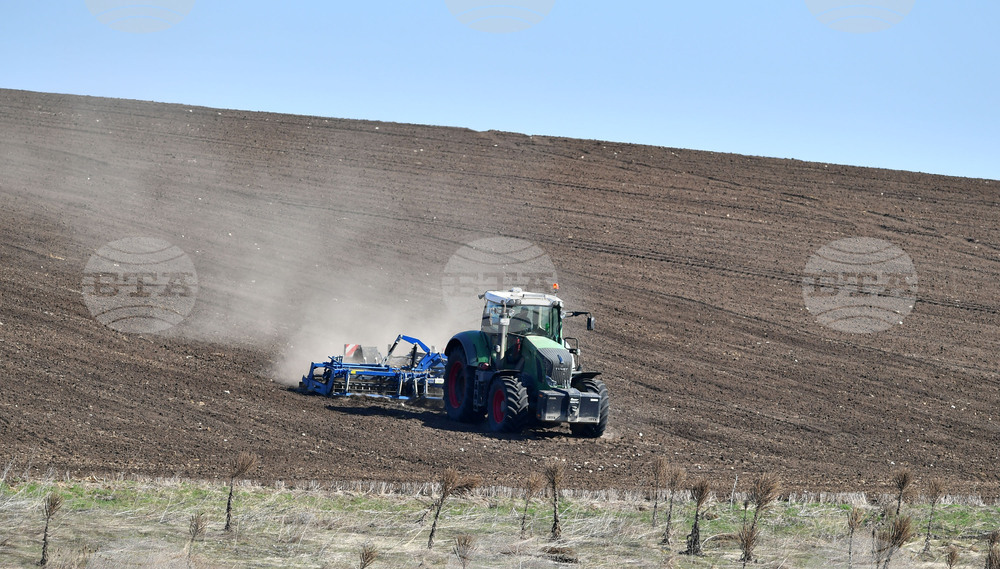 Зимните култури в повечето части на ЕС са в добро състояние, според доклад